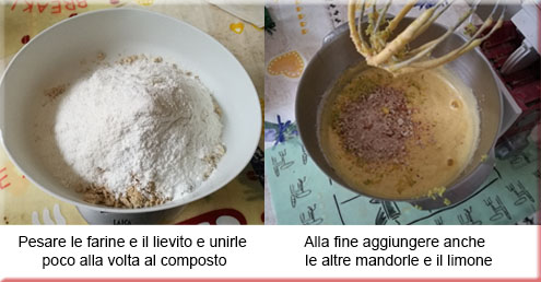 mandorle2
