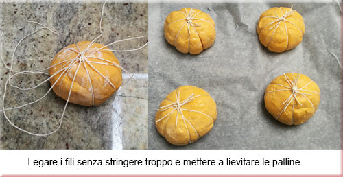 zucca6